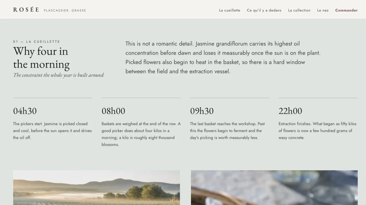 Rosée story explaining why flowers are harvested before dawn.