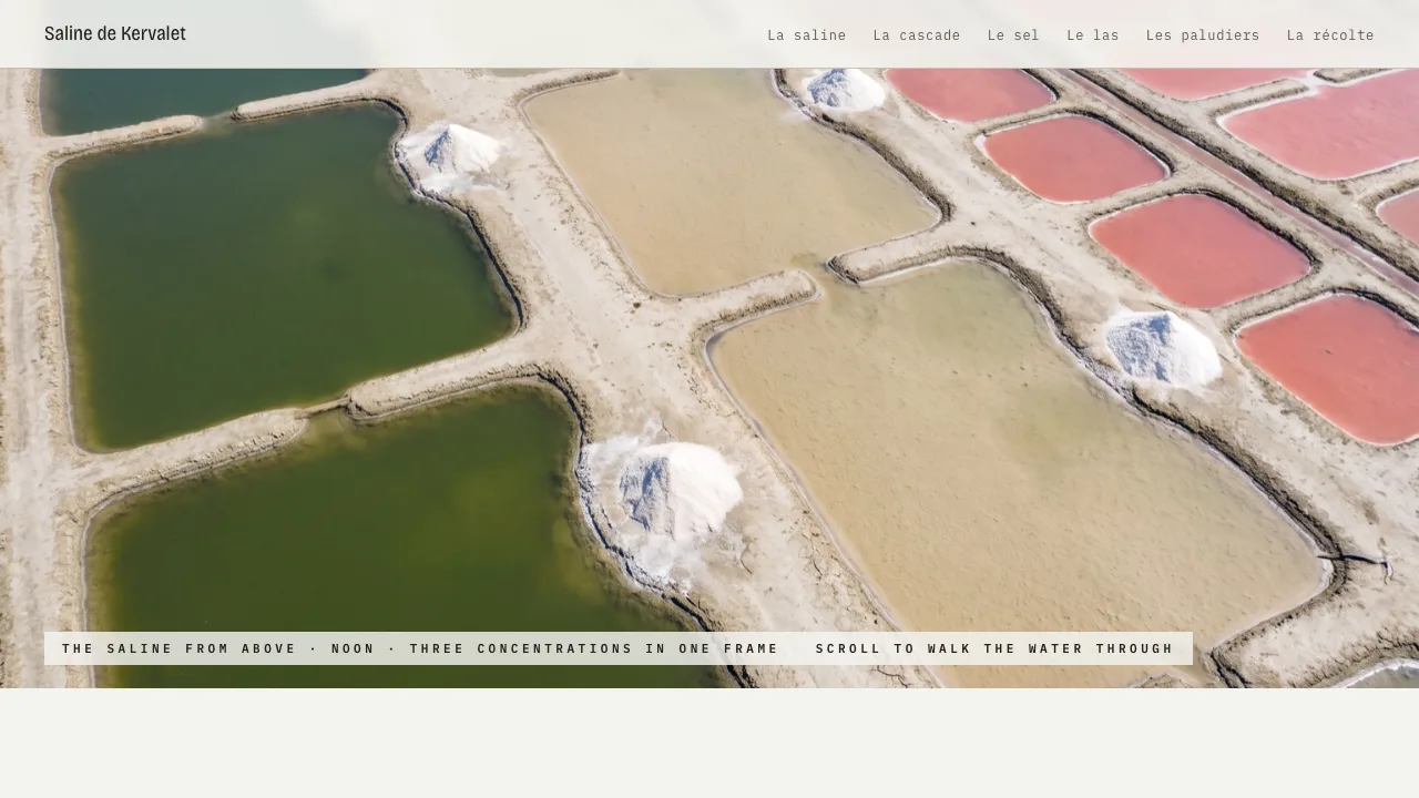 Saline de Kervalet homepage showing the salt marsh from above at noon, with green, pale and rose pans in one frame.