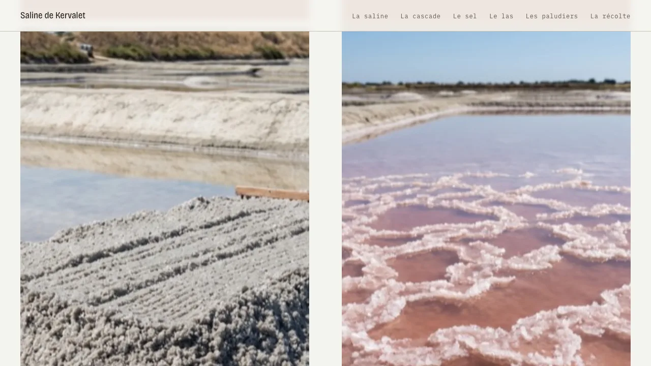 Saline de Kervalet comparing coarse grey salt raked from the clay floor with fleur de sel crusting on still water.
